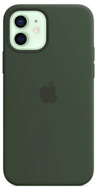 Силиконовый чехол Apple iPhone 12 Mini Silicone Case with MagSafe Cyprus Green (MHKR3)