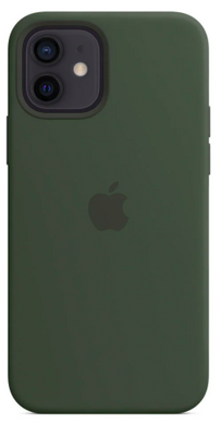 Силиконовый чехол Apple iPhone 12 Mini Silicone Case with MagSafe Cyprus Green (MHKR3)