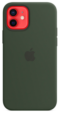 Силиконовый чехол Apple iPhone 12 Mini Silicone Case with MagSafe Cyprus Green (MHKR3)