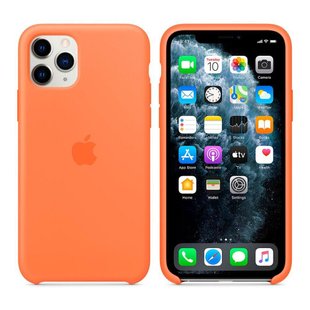 Силиконовый матовый чехол Apple Silicone Case Vitamin C для iPhone 11 Pro (OEM)