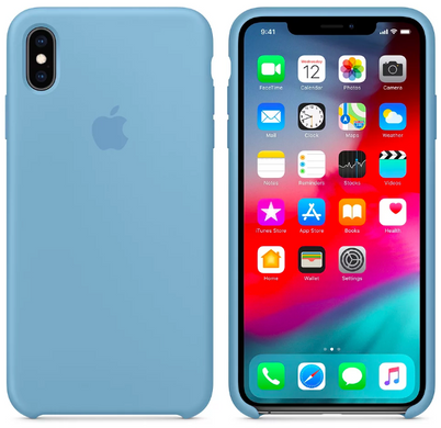 Силиконовый матовый чехол Apple для iPhone X / XS Silicone Case - Cornflower (MW982LL/A)
