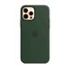 Силиконовый чехол AnySmart Silicone Case MagSafe Cyprus Green для iPhone 12 Pro Max OEM