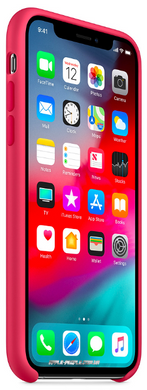 Силиконовый матовый чехол Apple для iPhone X / XS Silicone Case - Hibiscus (MUJT2LL/A)