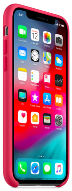 Силиконовый матовый чехол для Apple iPhone X / XS Silicone Case - Hibiscus (MUJT2LL/A)
