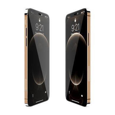 iPhone 12 Pro Max 128GB Gold (MGD93)