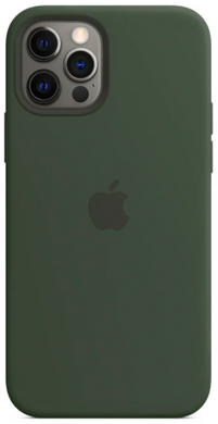 Силиконовый чехол Apple iPhone 12 Pro Max Silicone Case with MagSafe Cyprus Green (MHLC3)