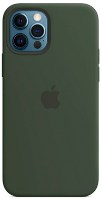 Силиконовый чехол Apple iPhone 12 Pro Max Silicone Case with MagSafe Cyprus Green (MHLC3)