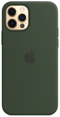 Силиконовый чехол Apple iPhone 12 Pro Max Silicone Case with MagSafe Cyprus Green (MHLC3)