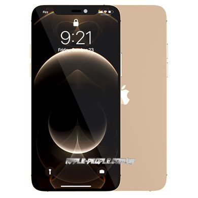 Apple iPhone 12 Pro Max 256GB Gold (MGDE3) Оriginal