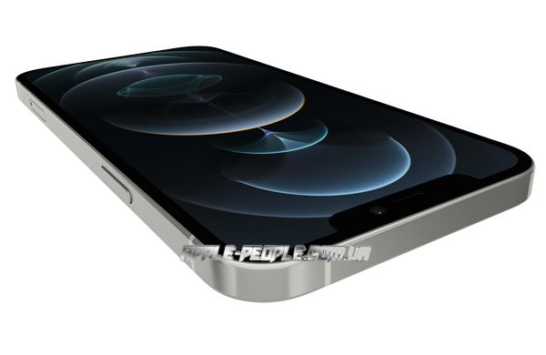 Apple iPhone 12 Pro Max 256GB Silver (MGDD3) Оriginal