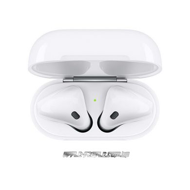 Apple AirPods 2 with Charging Case (MV7N2) Original