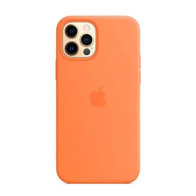 Cиликоновый чехол AnySmart Silicone Case MagSafe Kumquat для iPhone 12 | 12 Pro (OEM)