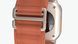 Apple Watch Ultra 3 GPS + Cellular 49mm Black Titanium Case with Terra Cotta Alpine Loop - Large (MF254+MG9F4)