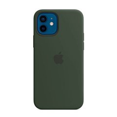 Cиликоновый чехол AnySmart Silicone Case MagSafe Cyprus Green для iPhone 12 | 12 Pro (OEM)