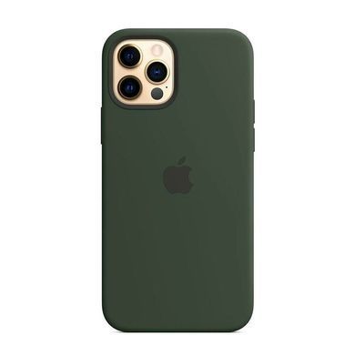 Cиликоновый чехол AnySmart Silicone Case MagSafe Cyprus Green для iPhone 12 | 12 Pro (OEM)