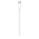 Кабель USB Type-C Apple USB-C Charge Cable 2m (MLL82)