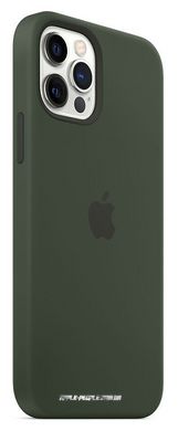 Силиконовый чехол Apple Silicone Case with MagSafe Cypress Green для iPhone 12 | 12 Pro (MHL33)
