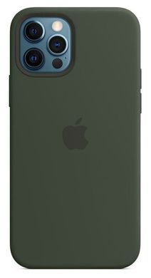 Силиконовый чехол Apple Silicone Case with MagSafe Cypress Green для iPhone 12 | 12 Pro (MHL33)