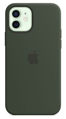 Силиконовый чехол Apple Silicone Case with MagSafe Cypress Green для iPhone 12 | 12 Pro (MHL33)