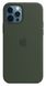 Силиконовый чехол Apple Silicone Case with MagSafe Cypress Green для iPhone 12 | 12 Pro (MHL33)